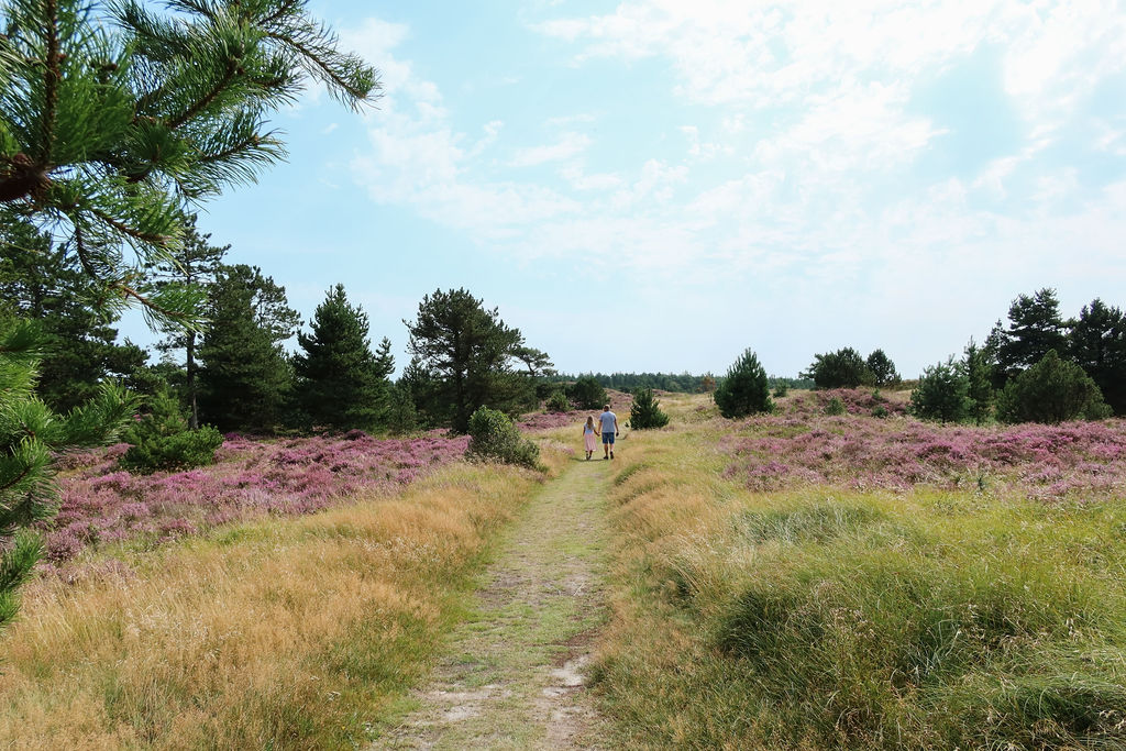 Claudia Gromoll - Einmali_Fotografie
