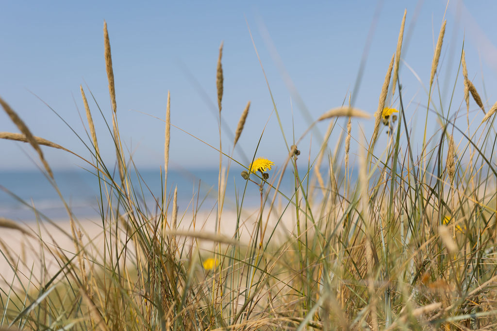 Claudia Gromoll - einmali-fotografie
