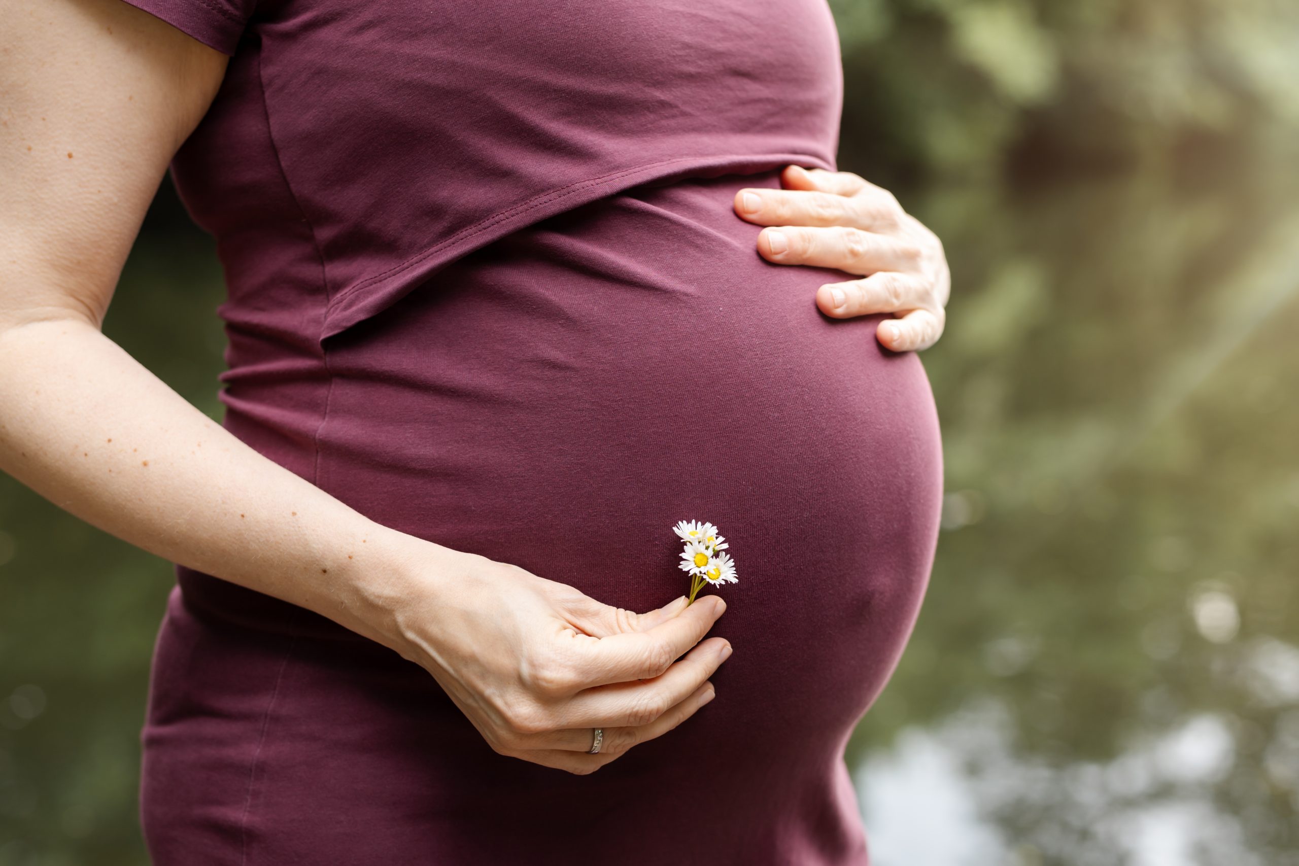 Nahaufnahme von dem Babybauch mit kleinen Gänseblümchen - Babybauchshooting in Hamburg